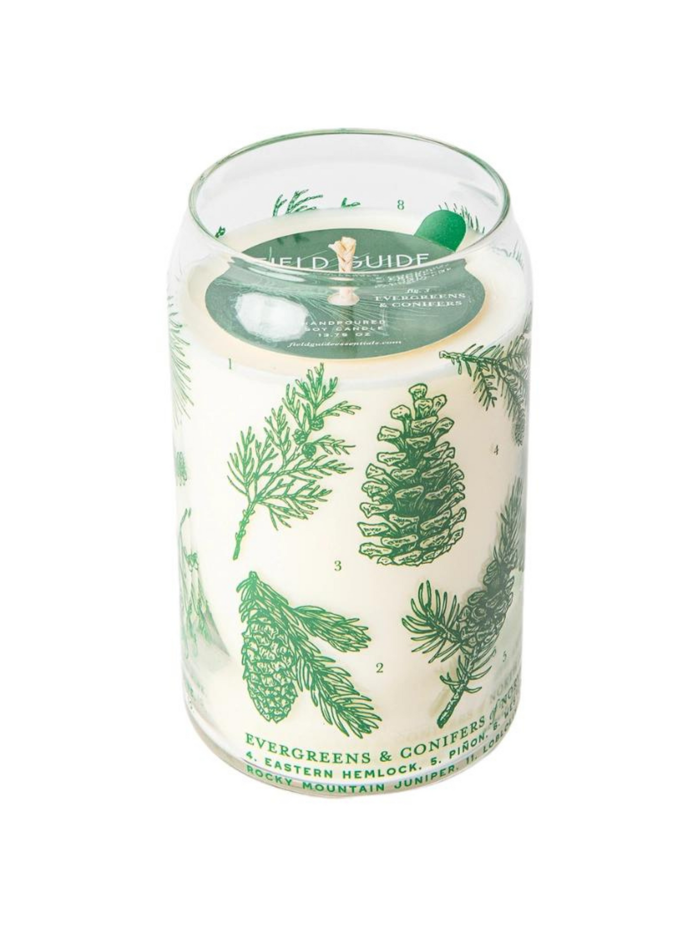 Forest Floor Soy Candle - Evergreens & Conifers