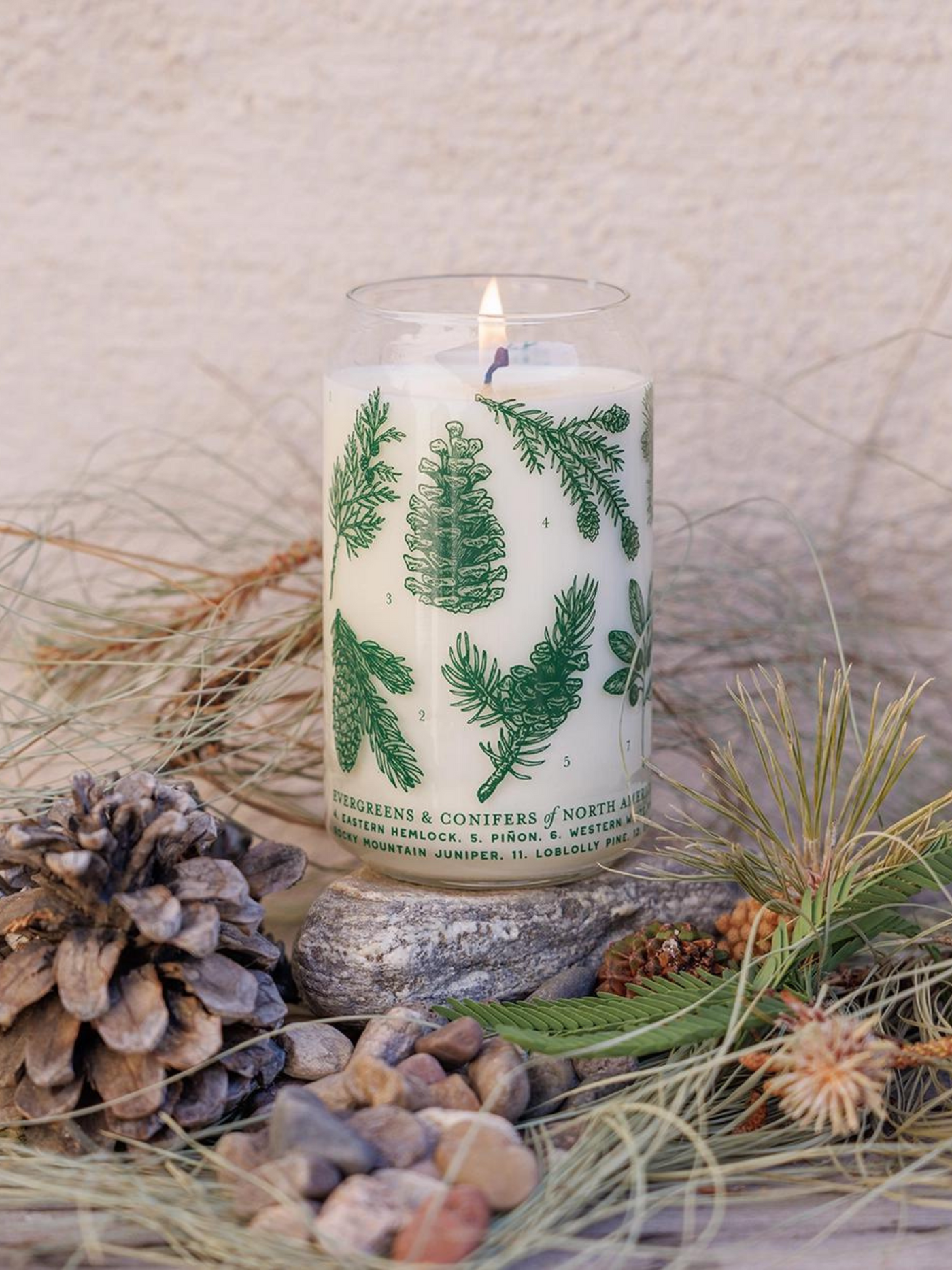 Forest Floor Soy Candle - Evergreens & Conifers